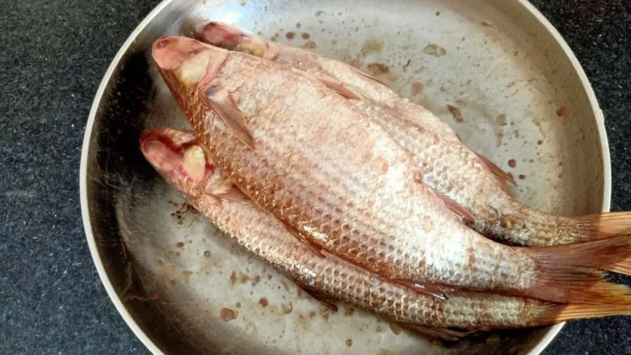 أماكن توفر مصل التسمم بالمجان.. إذا شعرت بتعب بعد الفسيخ والرنجة